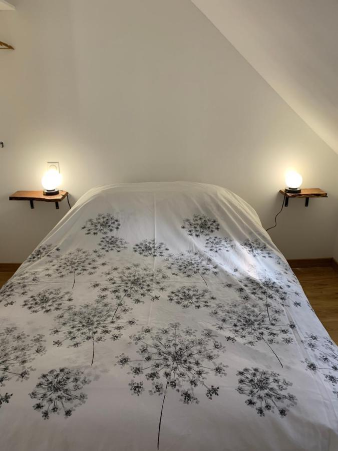 Mesnie Sas Villa Reugny  Exteriör bild